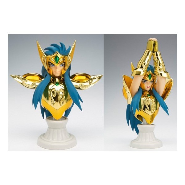 Buy Saint Seiya Myth Cloth Appendix Aquarius Camus Used Hobbies