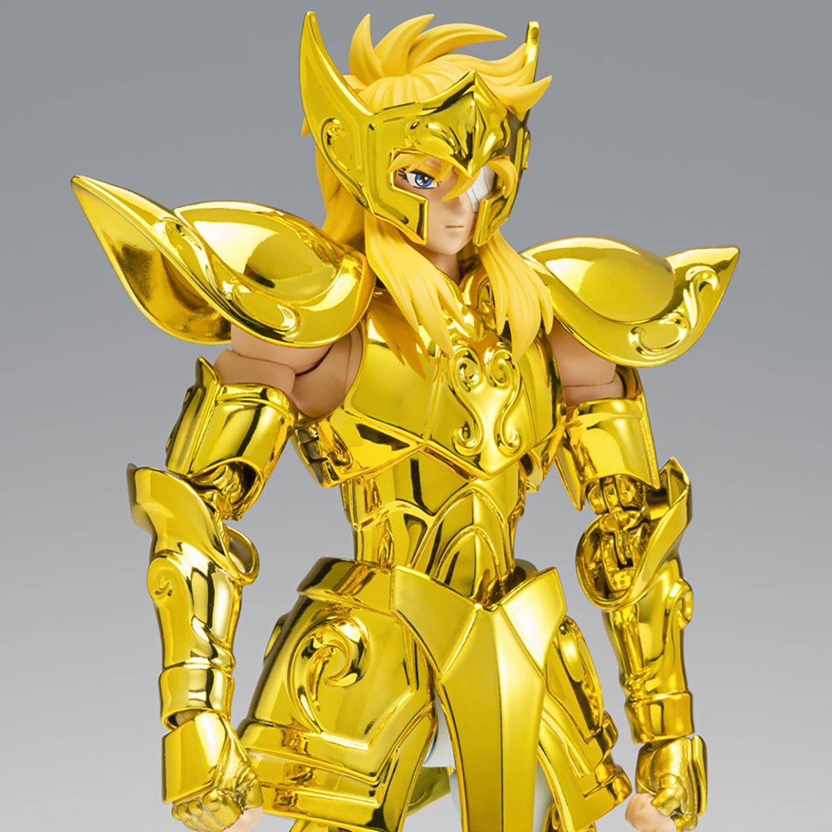 Myth Cloth Ex Saint Seiya Aquarius Hyoga Successor Of The Golden