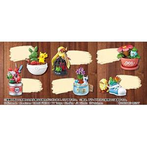 Pokemon - Pokemon Pocket Botanical 6 Pack BOX [Goods]