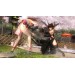  Dead or Alive 5 - Collector's Edition [PS3]