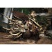 Castlevania Lords Of Shadow - édition standard + flyer [PS3]