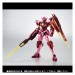 Mobile Suit Gundam 00-00 Quant (Trans-am Ver)- Edition Limitée[Robot Damashii]