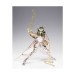Saint Seiya Myth Cloth - Andromeda Shun God Cloth V4