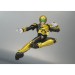 S.H. Figuarts Kamen Rider Beast