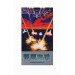 Raiden Densetsu [SFC - Used Good Condition]