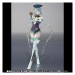 TIGER & BUNNY - Blue Rose  - Limited Edition [SH Figuarts]