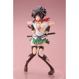   Senran Kagura - Asuka Nama New Breast Material Type [Chara-ani]