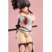   Senran Kagura - Asuka Nama New Breast Material Type [Chara-ani]