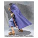   One Piece Fujitora Issho - Edition Limitée [Figuarts Zero]