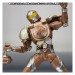  Kamen Rider Gridon Donguri Arms - Limited Edition [SH Figuarts]