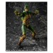   Kamen Rider Shin - Limited Edition [S.I.C. ]