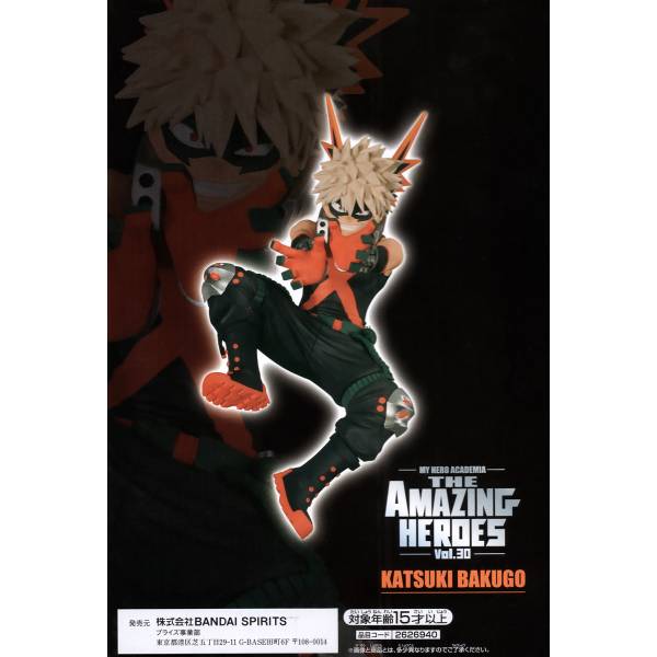 My Hero Academia -Boku No Hero - Vol.30