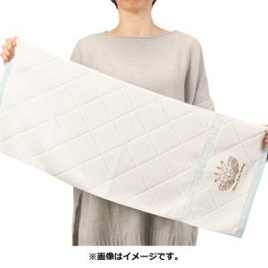 Pokemon: Pokémon Garden Wedding - Imabari Face Towel (Set of 2) [The Pokémon Company]