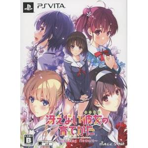 Saenai Heroine no Sodatekata - Blessing Flowers (Edition Limitée) [PSV - Occasion BE]