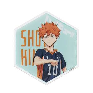 Haikyuu!!: Acrylic Magnet - Shoyo Hinata [GoodSmile Moment]