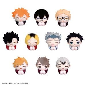 Haikyuu!!: Hug Character Collection - Plush Mascot (Box of 10, Reissue) [Max Limited]