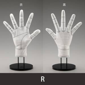 ARTIST SUPPORT ITEM: Hand Model Gloves with Wireframe (Right Hand) [Kotobukiya]