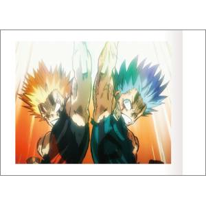 Boku no Hero Academia: Heroes: Rising Pashakore Trading Cards - (10 Packs Box) [Movic]