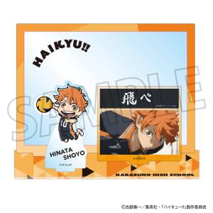 Haikyuu!! - Acrylic Stand with Scene Shot - Shoyo Hinata [Movic]
