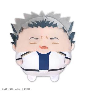 Haikyuu!!: Fuwa Kororin M size - Kotaro Bokuto [Max Limited]