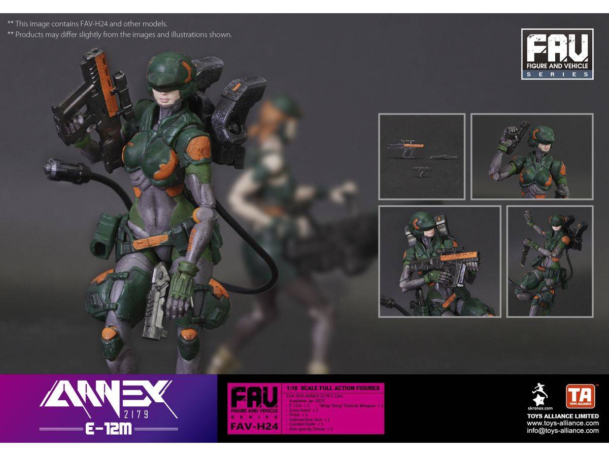 annex-2179-fav-h24-e-12m-118-