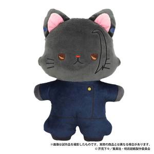 Jujutsu Kaisen: Season 2 - Hidden Inventory / Premature Death with CAT Eye Mask Flat Plush - Suguru Geto [Movic]