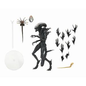 Alien: Romulus - Ultimate Scorched Xenomorph - 7 Inches Action Figure [Neca]
