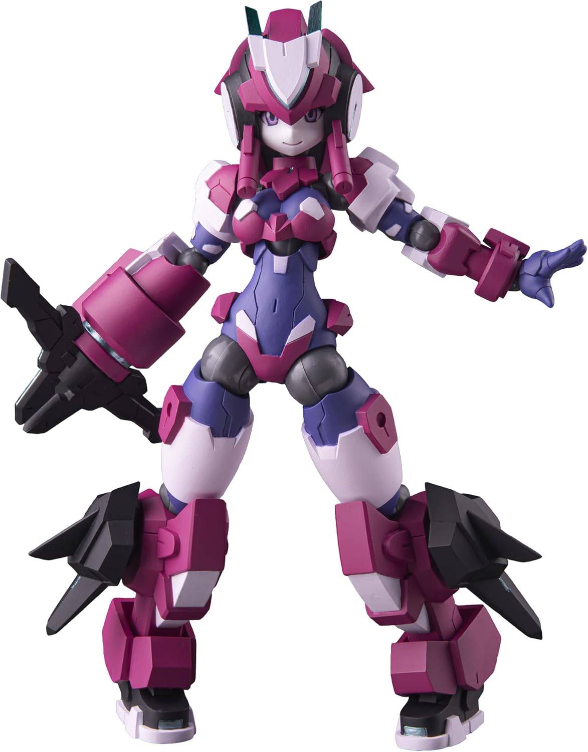 未開封　polynian ポリニアン　アイヴィ pnc12a_09.jpg