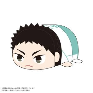 Haikyu!!: Potekoro Mascot BIG - Hajime Iwaizumi [Max Limited]