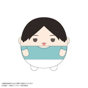 Haikyu!!: Fuwa Kororin M Size Vol.9 - Hide Kunimi [Max Limited]