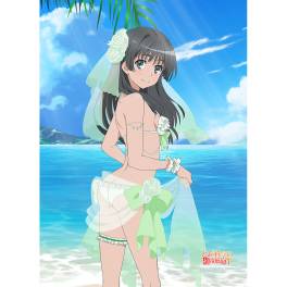 A Certain Scientific Railgun T: B2 Tapestry - Ruiko Saten