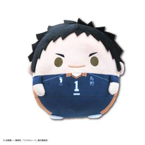 Haikyu!!: Fuwa Kororin M Size Vol.3 - Daichi Sawamura [Max Limited]