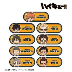 Haikyuu!!: Chokonto! Acrylic Nameplates (A Ver.) (9 Packs Box) [Arma Bianca]