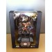 Saint Seiya - Pegasus Gold Cosmos Burning Collection Limited [Asia Ver.]