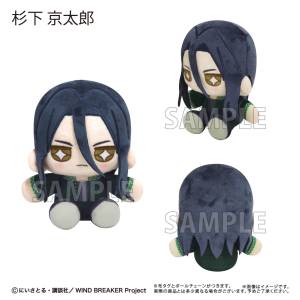 WIND BREAKER: Mini Sitting Tapinui Plush Mascot Vol.1 - Kyotaro Sugishita [Tapioca]