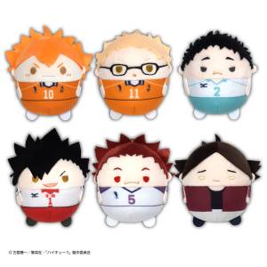 Haikyuu!!: Fuwa Kororin - Plush Mascot Collection Vol.5 (6 Packs Box) [Max Limited]