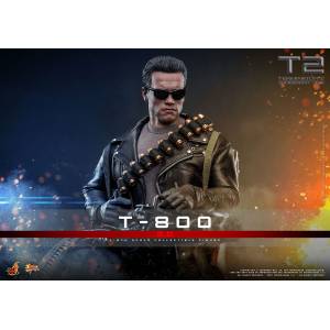 Movie Masterpiece: Terminator 2 - Judgement Day - T-800 (2.0 Ver.) 1/6 [Hot Toys]