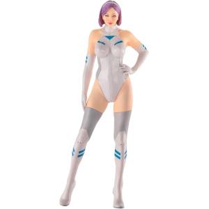 12 Real Figure Collection No.38: AI Cyber Girl [Hasegawa]
