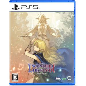 Record of Lodoss War: Deedlit in Wonder Labyrinth (Multi-Language) [PS5 - Used Good Condition]