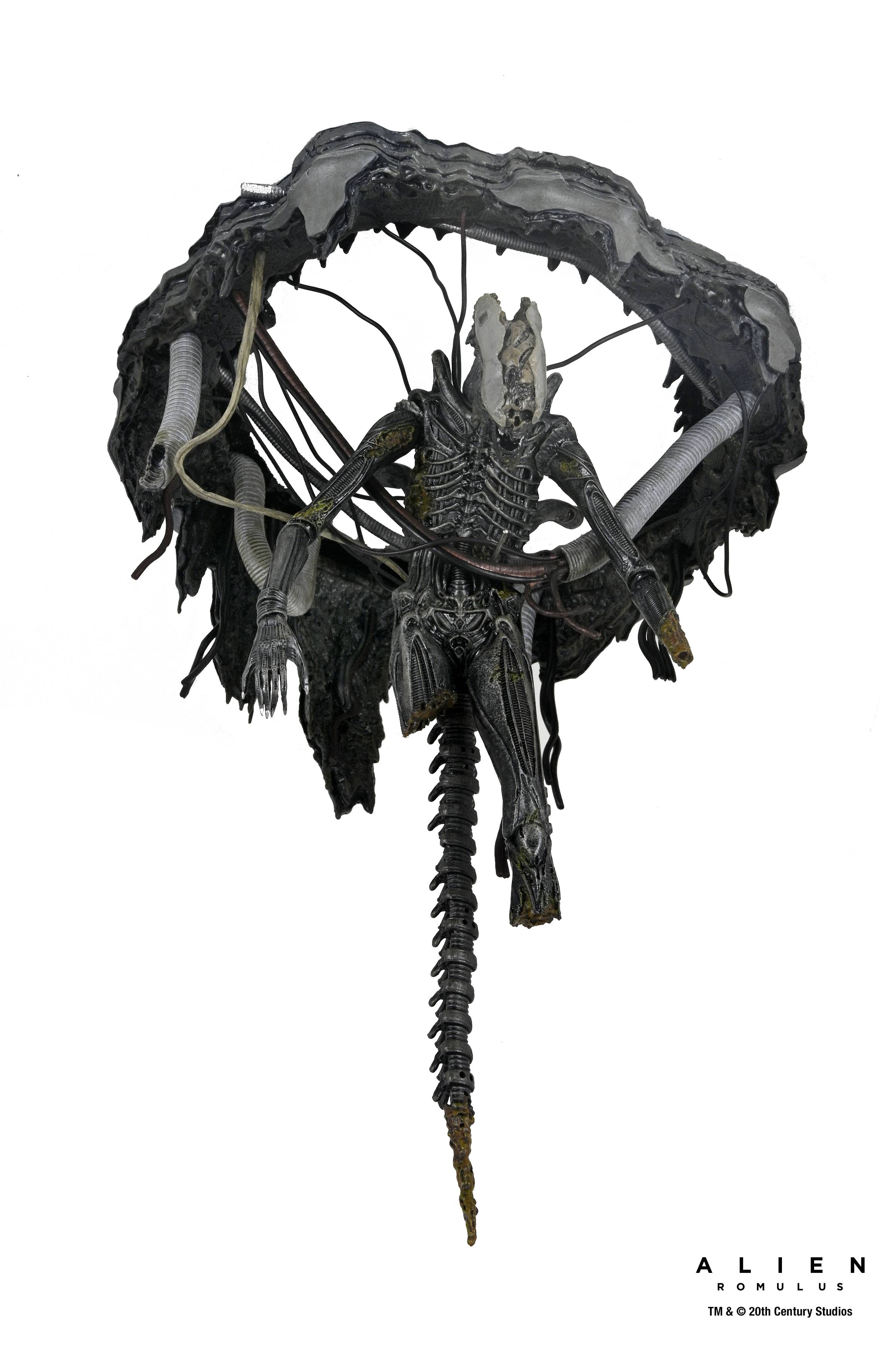 Alien: Romulus - Xenomorph XX121 Suspended Lab DX - 7-inch