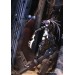 Black Rock Shooter Blu-ray BOX + Figma - Limited Edition [Blu-ray]