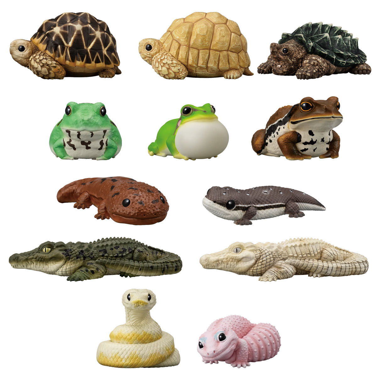 Shokugan: Tenori Friends Vol.4 - Reptiles and Amphibians (12 Packs Box) [Bandai]
