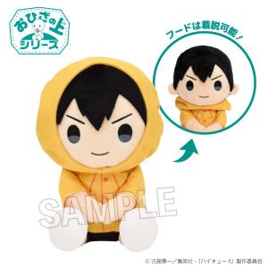 Haikyuu!!: On Your Lap Plush Toy - Tobio Kageyama (Rainy Day Ver.) [PROOF]
