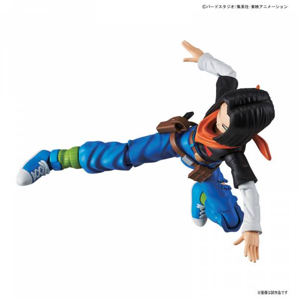 Figure-Rise Dragon Ball Z Android #17 Standard Model Kit – Cards and Comics  Central