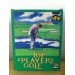 Top Player's Golf - boîte carton [Neo Geo AES - occasion]