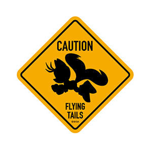 Sonic the Hedgehog: Caution Signs Sticker - Caution (Flying Tails) [Ensky]