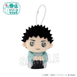 Haikyuu!!: Finger Puppet Series - Hajime Iwaizumi (Side Glance Hare Ver.) [PROOF]