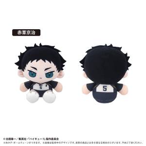 Haikyuu!!: Mini Sitting Tapinui Vol.3 - Keiji Akaashi [Tapioca]