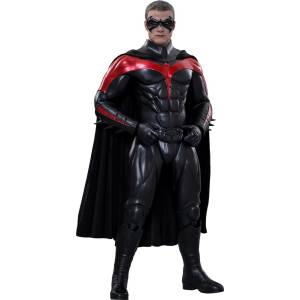 Movie Masterpiece - Batman & Robin: Mr. Freeze's Revenge - Robin [Hot Toys]