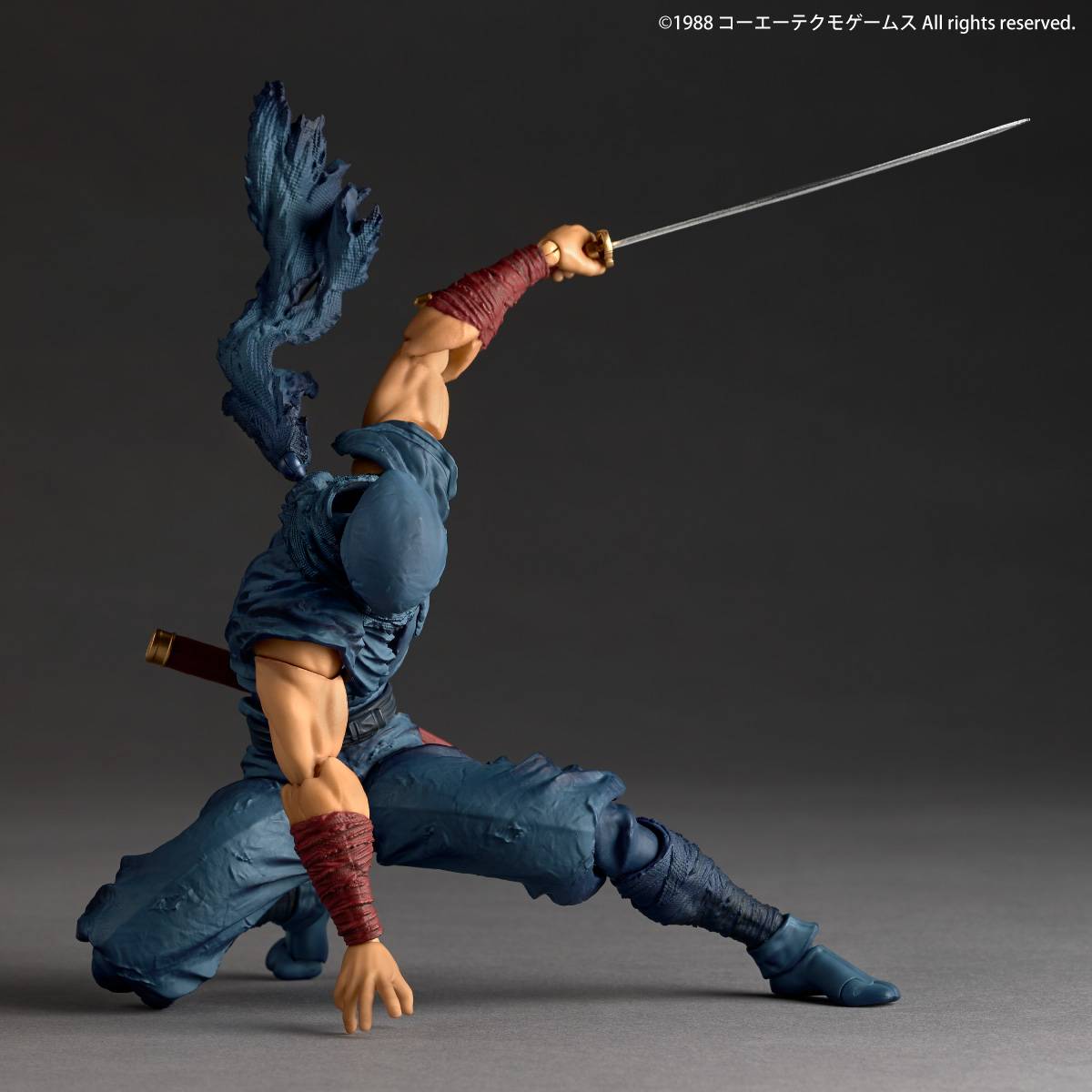 Amazing Yamaguchi / Revoltech: Ninja Gaiden - Ryu Hayabusa